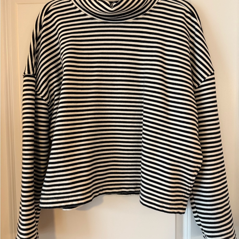 Everlane B&W Striped Turtleneck Sweatshirt